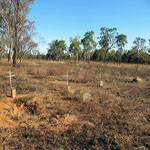 MT ELIZABETH STATION