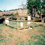 CLARKSON Edward Ellis & Michael