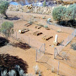 Meekatharra lst little cemetery