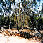 Salmon Gums Cemetery
