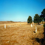 Walkaway Cemetery
