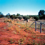 Wiluna Lakeway Cemetery
