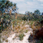 Hopetoun Pioneer Cemetery