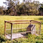 Irwin House, Irwin River