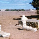 BRAND, Sarah (baby), DORAN, Moreton & CORNELLY, Farrell