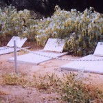 GLANFIELD Lucy Christina & Harold Francis 