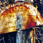 McLERNON John Vincent