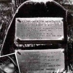 COLLINS Merton Montague & Nellie (nee Humphries)