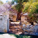 HUTTON family graveyard 