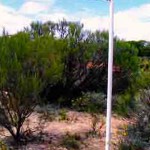 Corrigin original Cemetery