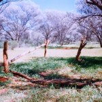 Diorite King Cemetery Kurrajong