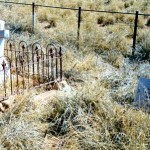 Yanrey Station Ashburton