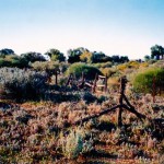 Yuin Station Cemetery