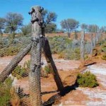 Lake Raeside Cemetery