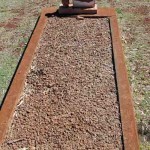 CLEMENTS Shayne Maree